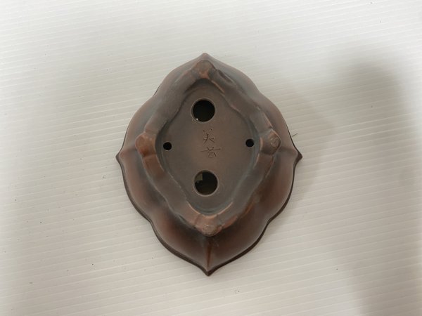 Photo4: No.DA54117 Bigei (4)