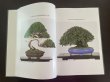 Photo3: No.TA album 43 (3)