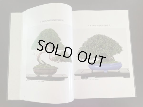 Photo3: No.TA album 43 (3)