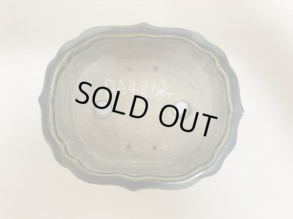 Photo4: DA4812  satomi (4)