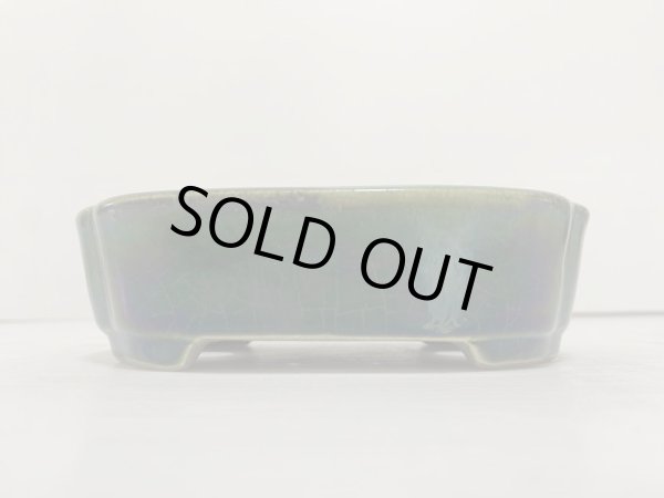 Photo2: DA4813  satomi (2)