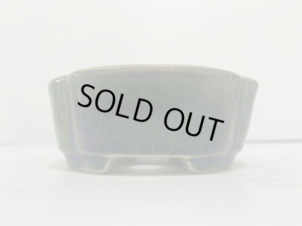 Photo3: DA4813  satomi (3)