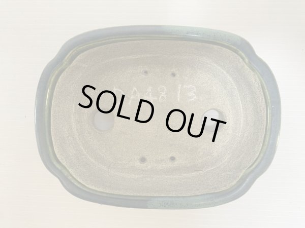 Photo4: DA4813  satomi (4)