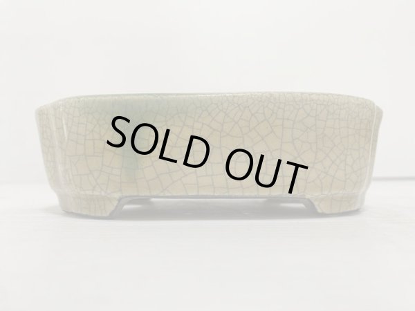 Photo2: DA4814  satomi (2)