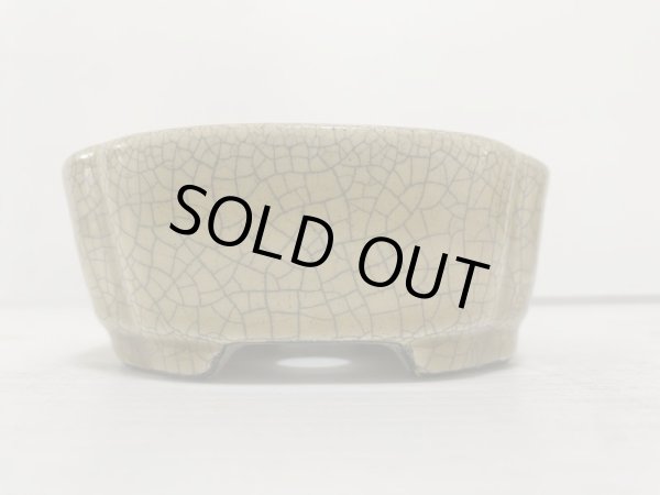 Photo3: DA4814  satomi (3)