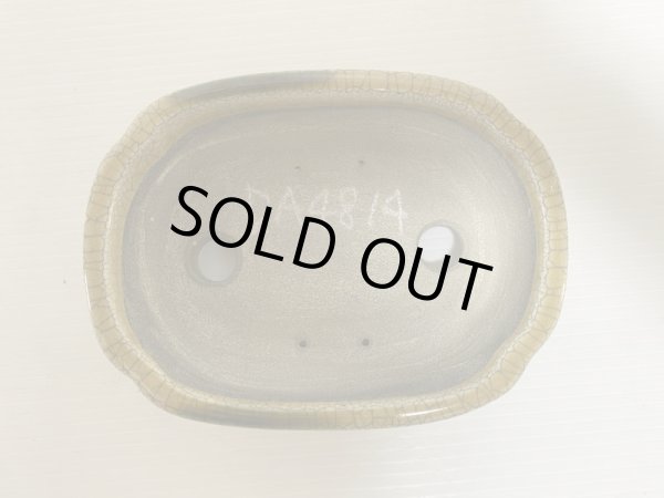 Photo4: DA4814  satomi (4)