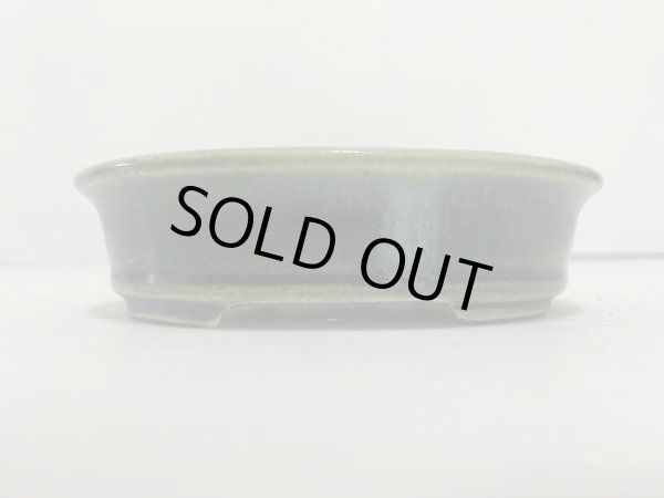 Photo2: DA4815  satomi (2)