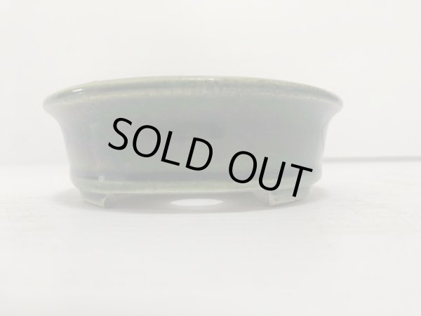 Photo3: DA4815  satomi (3)