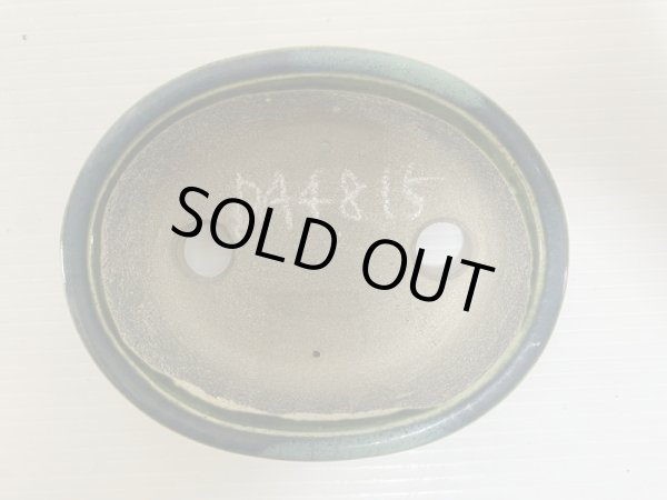 Photo4: DA4815  satomi (4)