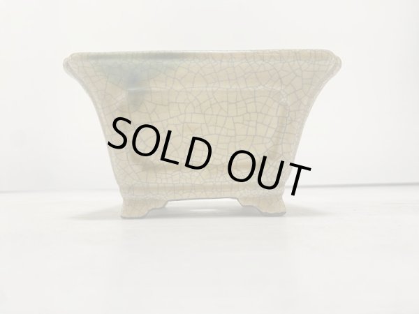 Photo2: DA4816  satomi (2)