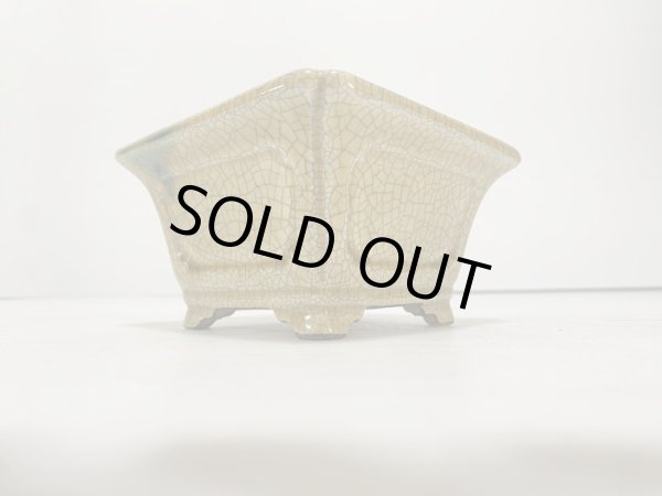 Photo3: DA4816  satomi (3)