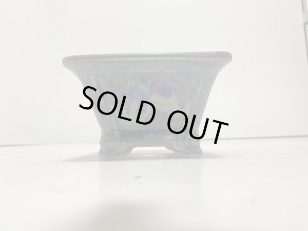 Photo2: DA4817  satomi (2)