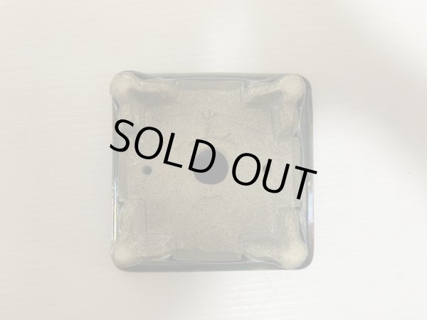 Photo5: DA4817  satomi (5)