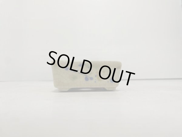 Photo3: DA4818  satomi (3)