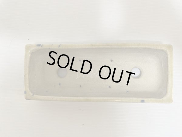 Photo4: DA4818  satomi (4)