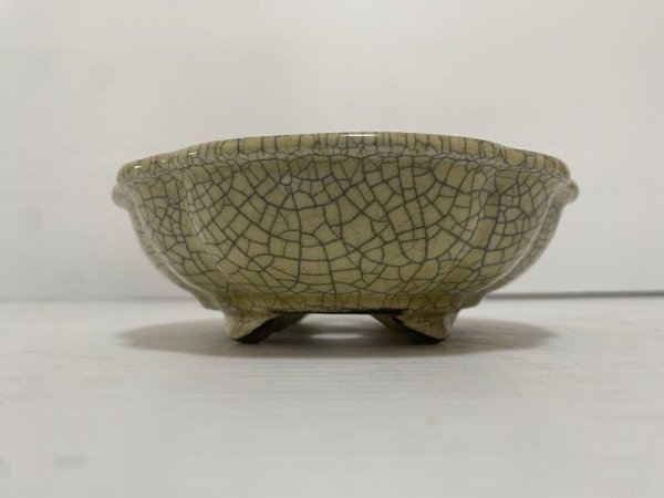 Photo3: DA4819  satomi (3)