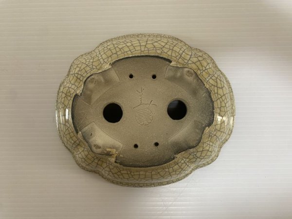 Photo5: DA4819  satomi (5)