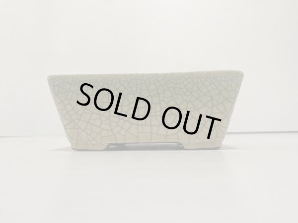 Photo2: DA4820  satomi (2)