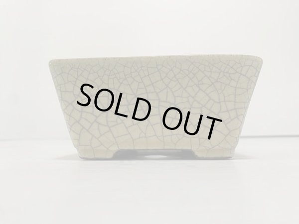 Photo3: DA4820  satomi (3)