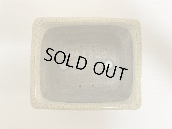 Photo4: DA4820  satomi (4)