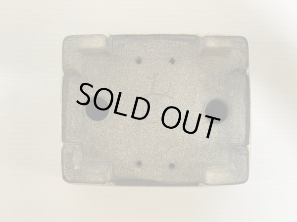 Photo5: DA4820  satomi (5)