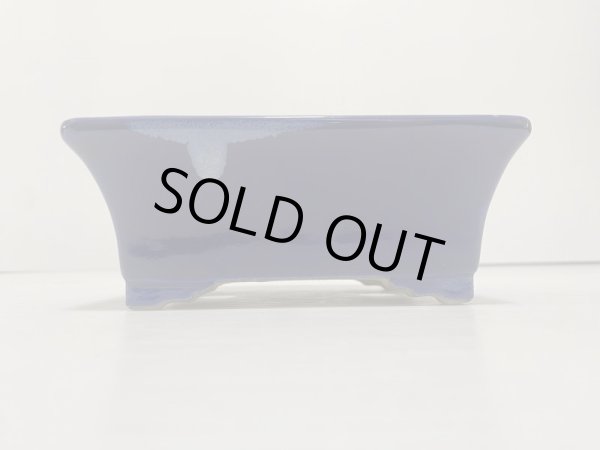 Photo2: DA4821  satomi (2)