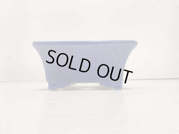 Photo3: DA4821  satomi (3)