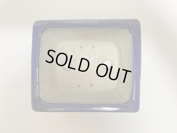 Photo4: DA4821  satomi (4)