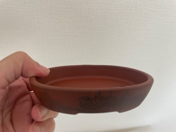 Photo5: No. Maru-900  (5)