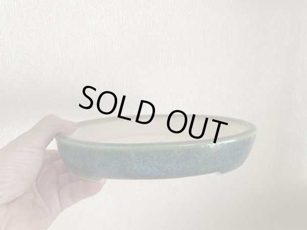 Photo2: No.MA4121 Koyo, 0.5kg (2)