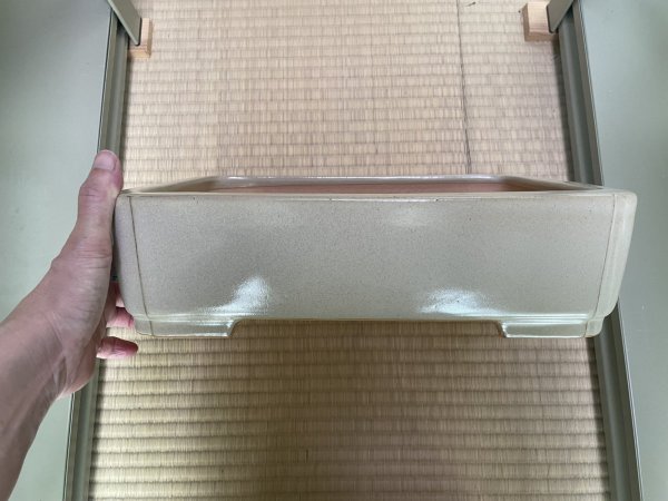 Photo2: No.MA4123 Reiho, 3.8kg (2)