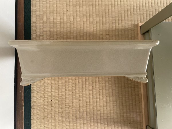 Photo2: No.MA4124 Reiho, 4kg (2)