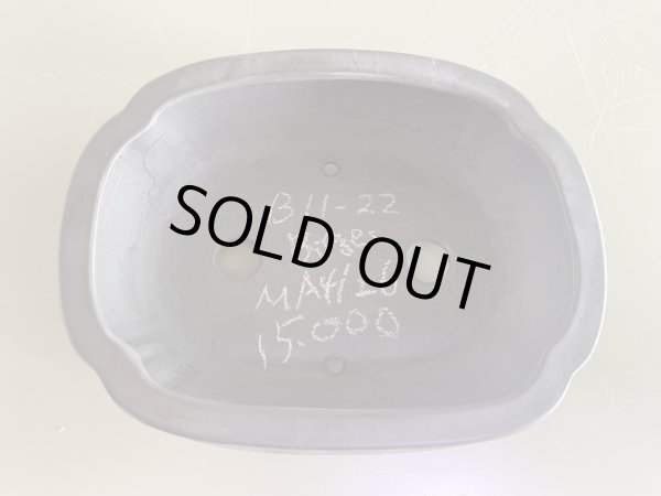 Photo1: No.MA4126 Bigei, 0.6kg (1)