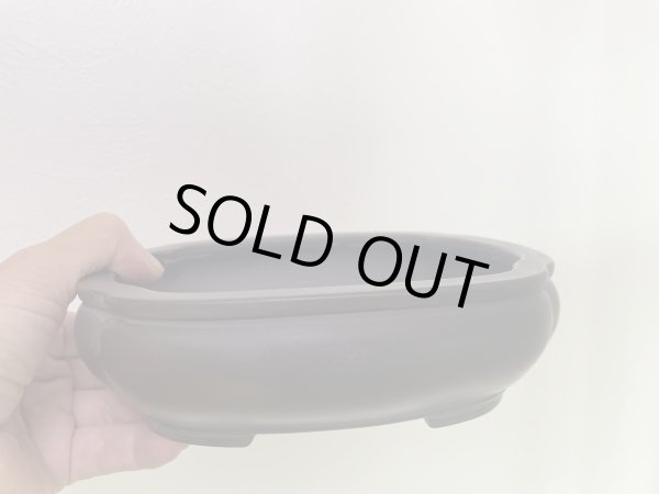 Photo2: No.MA4126 Bigei, 0.6kg (2)