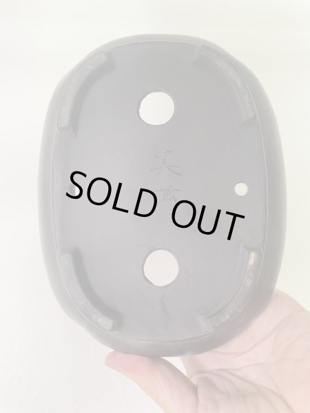 Photo3: No.MA4126 Bigei, 0.6kg (3)