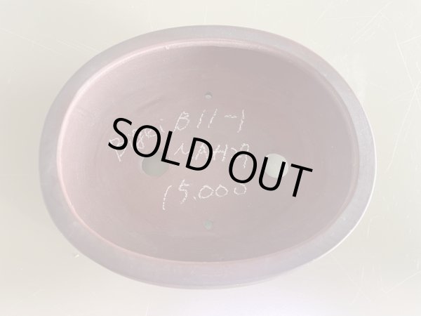 Photo1: No.MA4127 Bigei, 0.6kg (1)