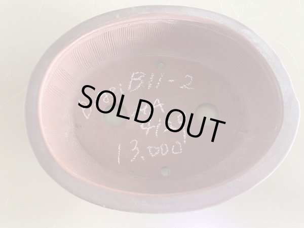 Photo1: No.MA4129 Bigei, 0.5kg (1)