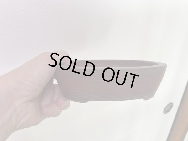 Photo2: No.MA4129 Bigei, 0.5kg (2)