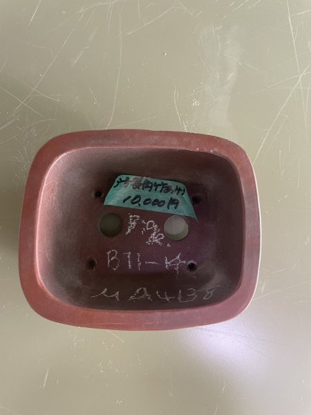 Photo1: No.MA4138 Bigei, 0.3kg (1)