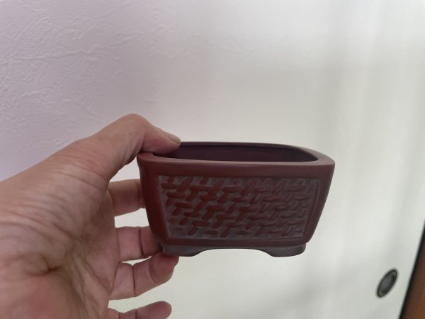 Photo2: No.MA4138 Bigei, 0.3kg (2)