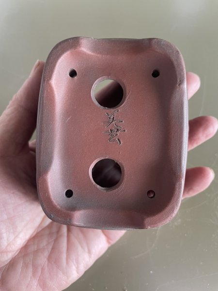 Photo3: No.MA4138 Bigei, 0.3kg (3)