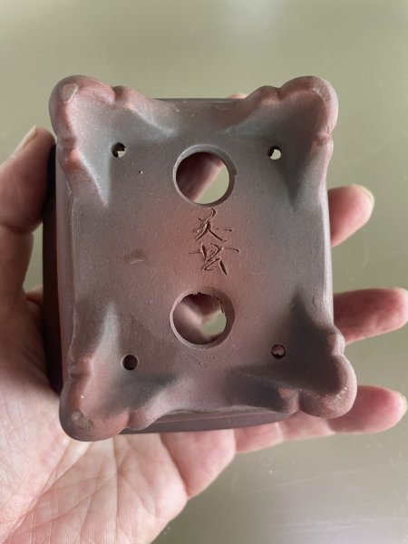 Photo3: No.MA4143 Bigei, 0.3kg (3)