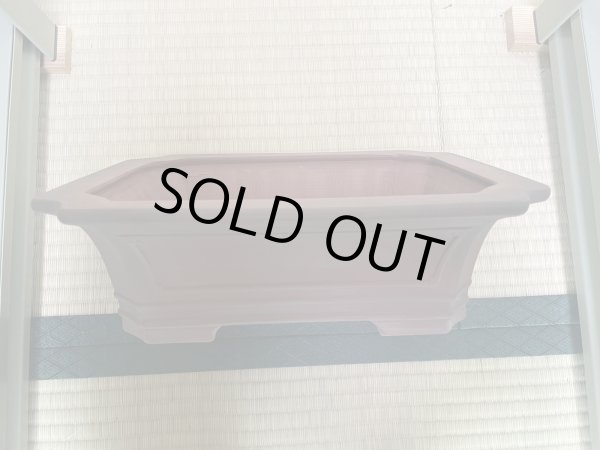 Photo2: No.MA4144 Bigei, 2kg (2)