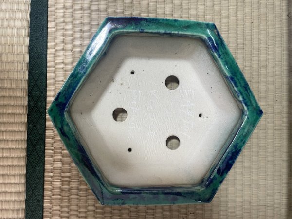 Photo4: No.FA4501  Bonsai pots by Shigeru Fukuda (4)