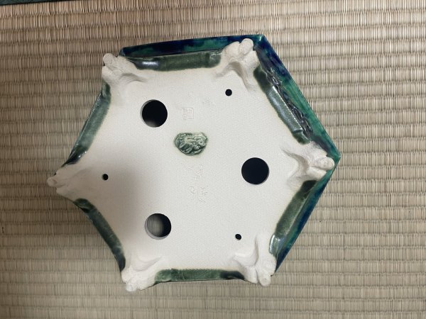 Photo5: No.FA4501  Bonsai pots by Shigeru Fukuda (5)