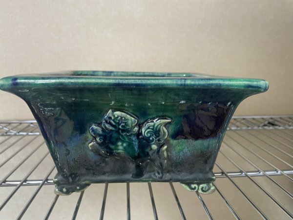 Photo5: No.FA4504  Bonsai pots by Shigeru Fukuda (5)