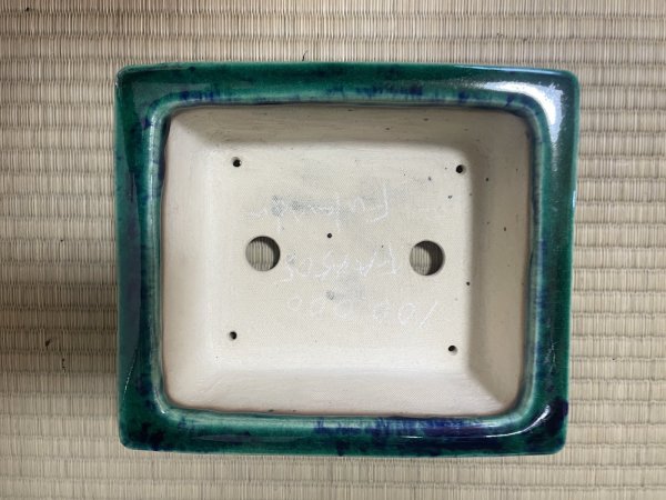 Photo2: No.FA4505  Bonsai pots by Shigeru Fukuda (2)