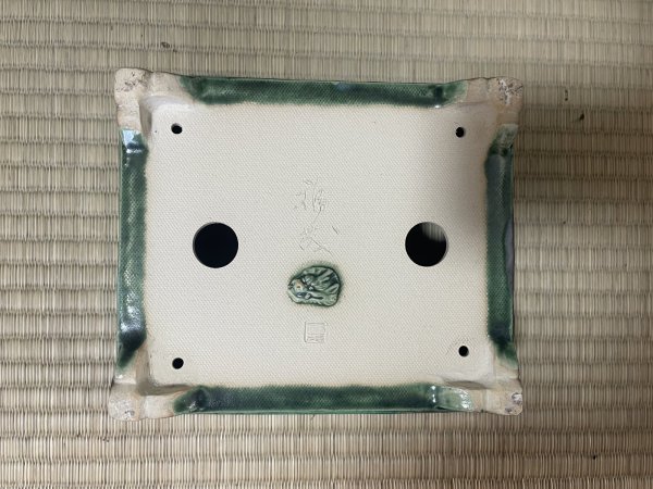 Photo3: No.FA4505  Bonsai pots by Shigeru Fukuda (3)