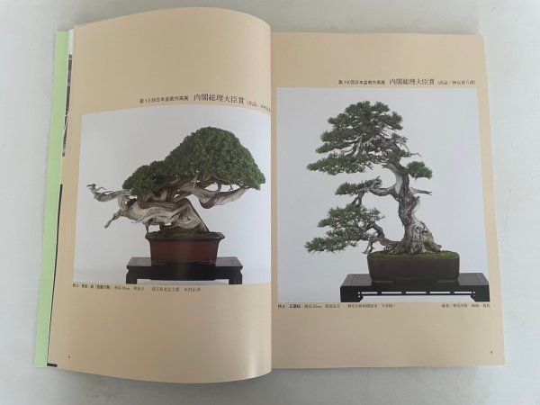 Photo2: No.SF album 50  Sakufu ten No.50 (2024) (2)