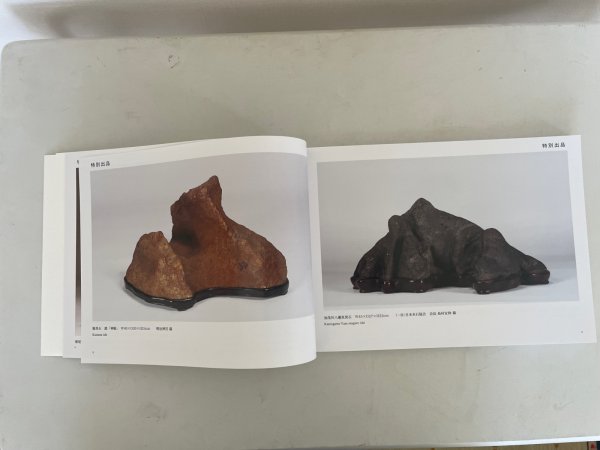 Photo4: No.Suiseki 2025   Exhibition of Japanese Suiseki masterpieces (4)